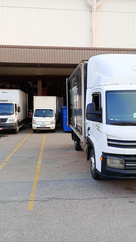 Transportadora de cargas para empresas