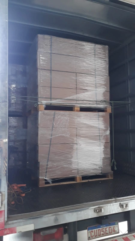 Transporte de material biológico - TXT Log